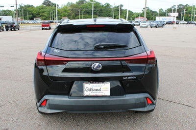 2021 Lexus UX UX 250h